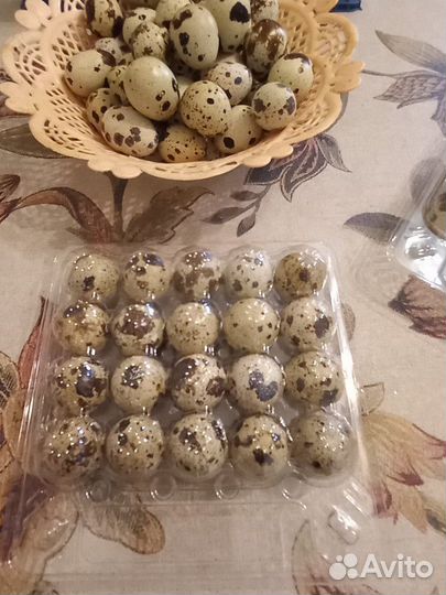 Яйца перепелиные домашние