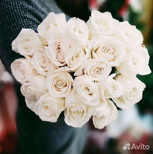 Розы Цветы Букеты 25 151 201 101 301 501 опт