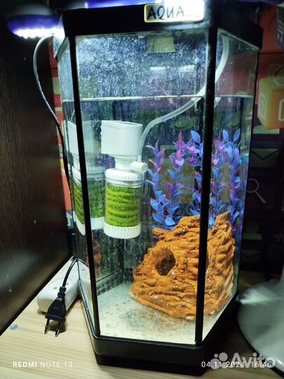 Аквариум