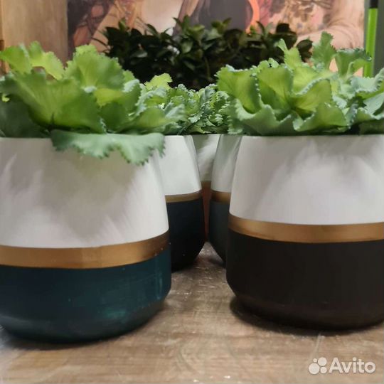 Озеленение искусственное и комнатное