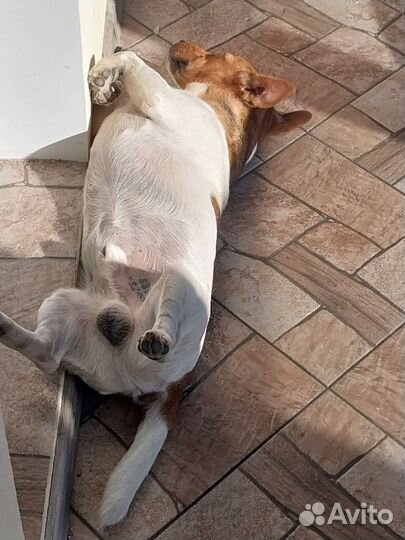 Милая девочка