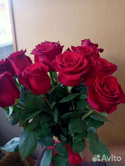 Букет из 11 красных роз