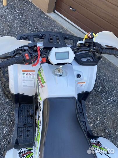 Квадроцикл Motoland wild 125