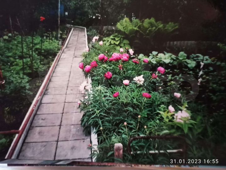 Участок 6,3 сот. (СНТ, ДНП)