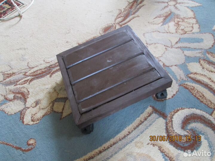 Дуболистный фикус-лирата