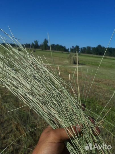 Луговое сено