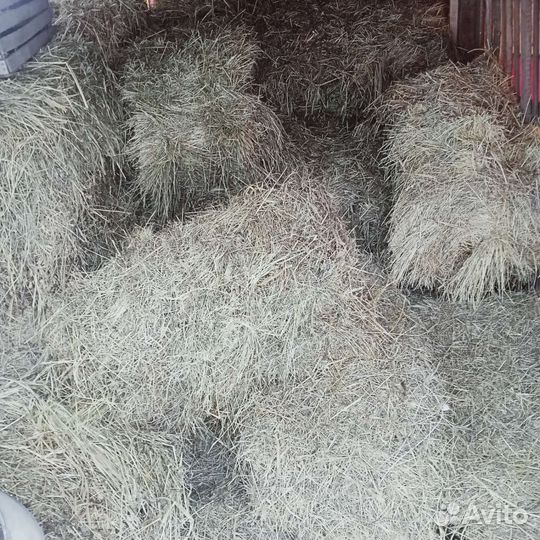 Продам сено в тюках