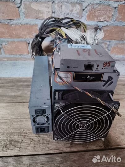 Asic antminer l3+