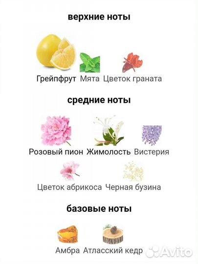 Духи Pandora №5