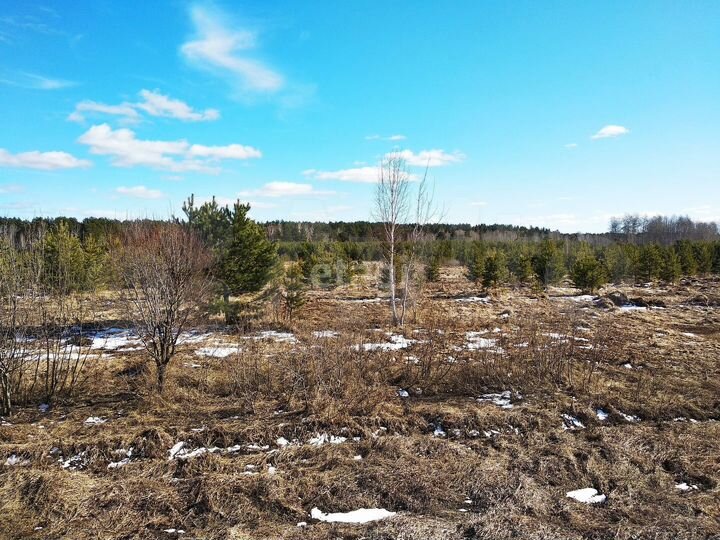 Участок 8 сот. (СНТ, ДНП)