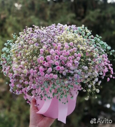 Гипсофила в коробке