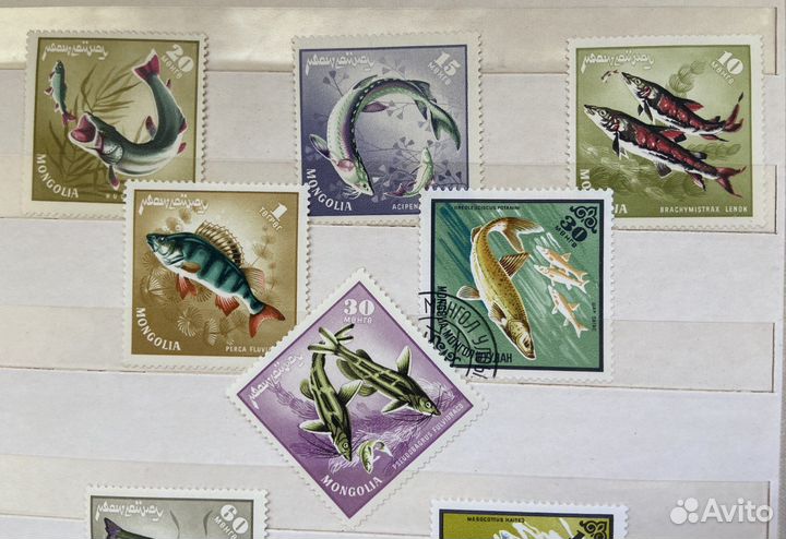 Альбом доя почтовых марок и сами марки