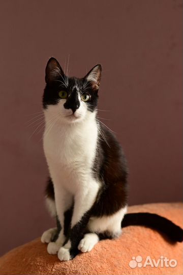 Мальчишки шалунишки