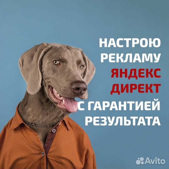 Контекстная реклама в Яндекс Директ в Н.Новгороде