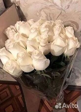 Розы Букеты Цветы Розы 31 101 151 201 Доставка