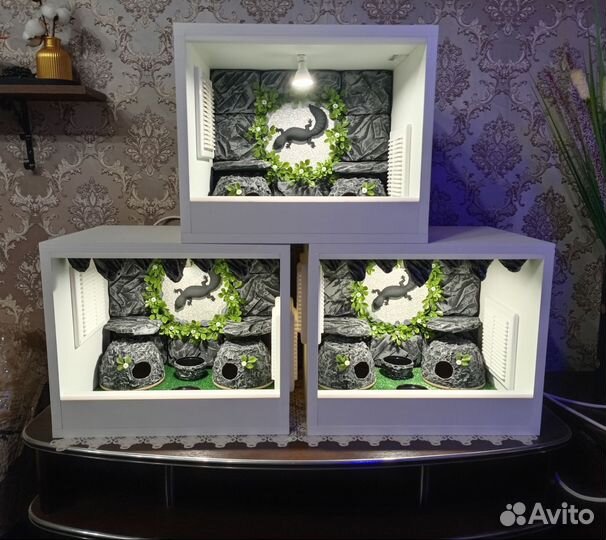 Террариум для эублефара под ключ