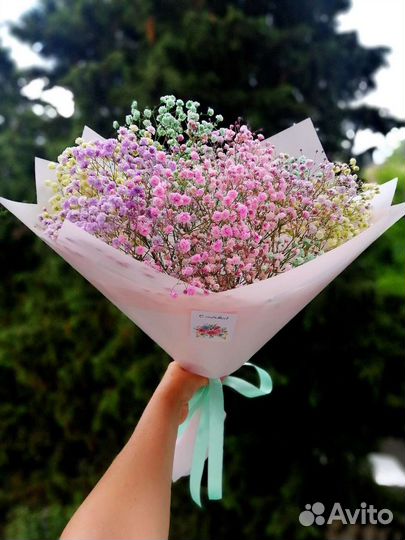 Гипсофила в коробках и букетах