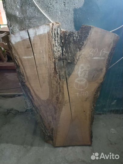 Слэб дерева