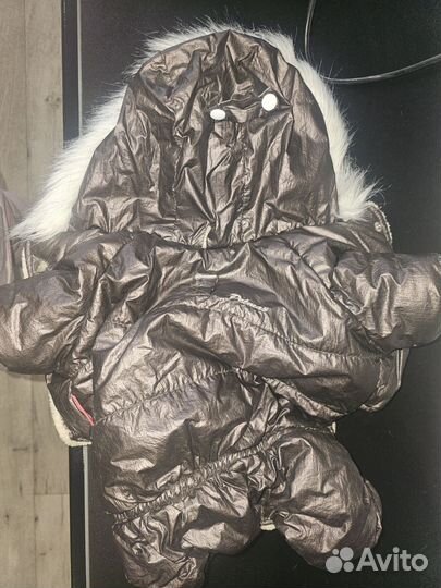 Одежда для собак мелких пород зима