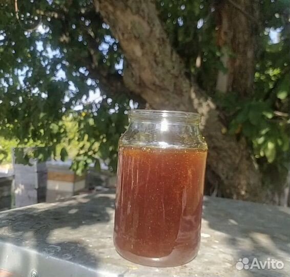 Мед цветочный разнотравье опт