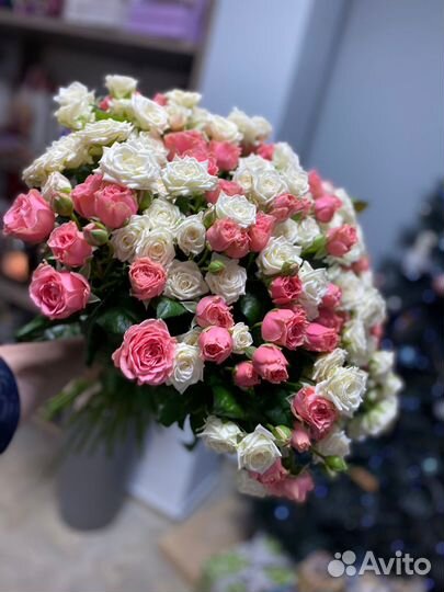 Роза кустовая XXL