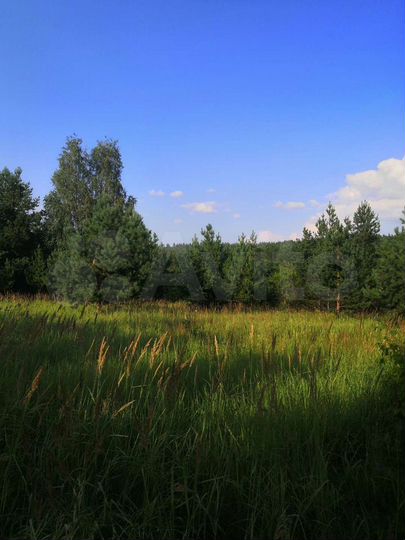 Участок 10 сот. (СНТ, ДНП)