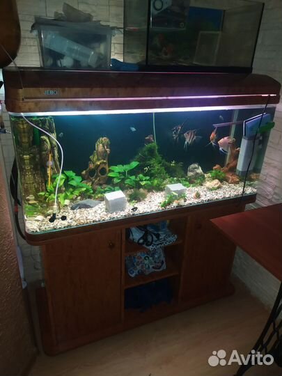 Аквариум jebo