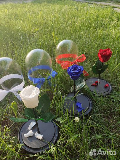 Роза в колбе