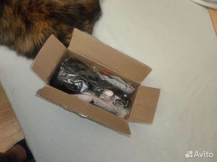 Плюш Ло Бинхэ