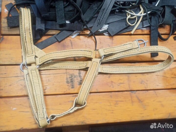 Недоуздок для лошади для доставки