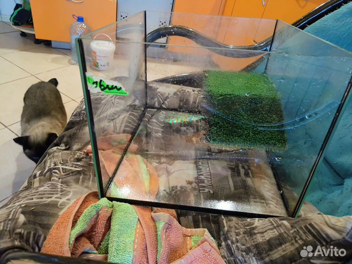Аквариум для красноухой черепахи