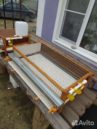 Клетки для перепелов