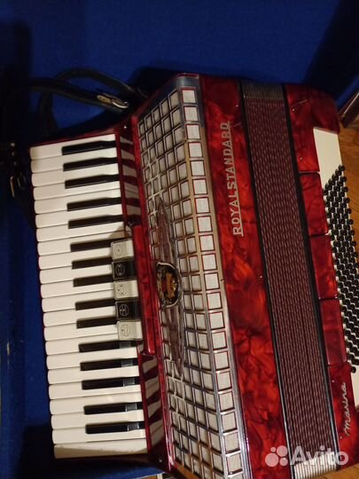 Аккордеон poyal standard