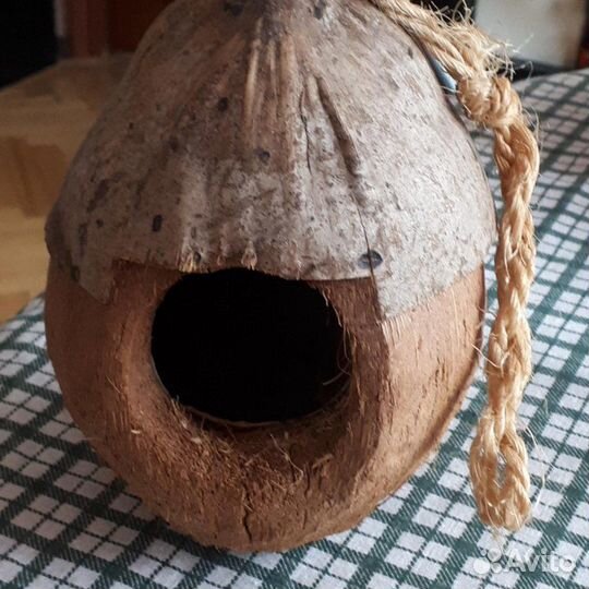 Гнездо для попугаев