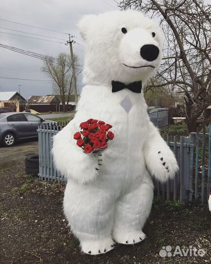 Поздравление белого и мишки панды.Ростовые куклы