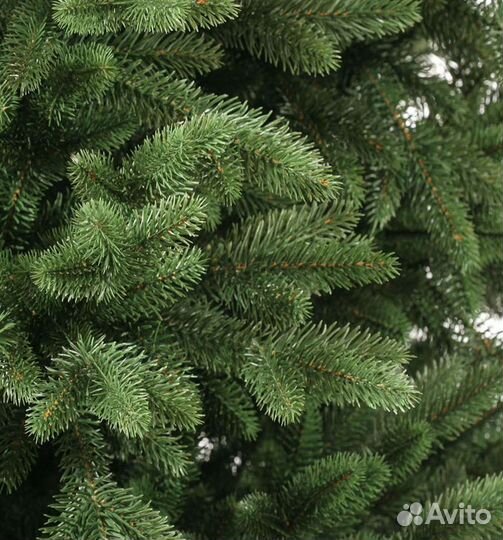 Царь ёлка Валенсия