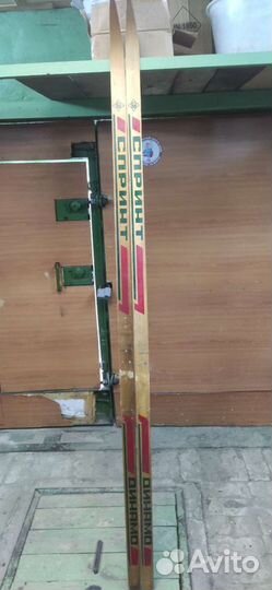 Беговые лыжи