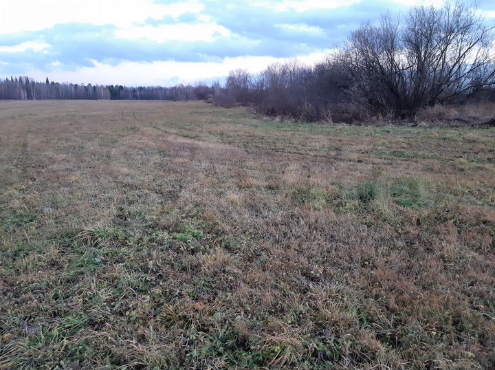 Участок 7,97 га (СНТ, ДНП)