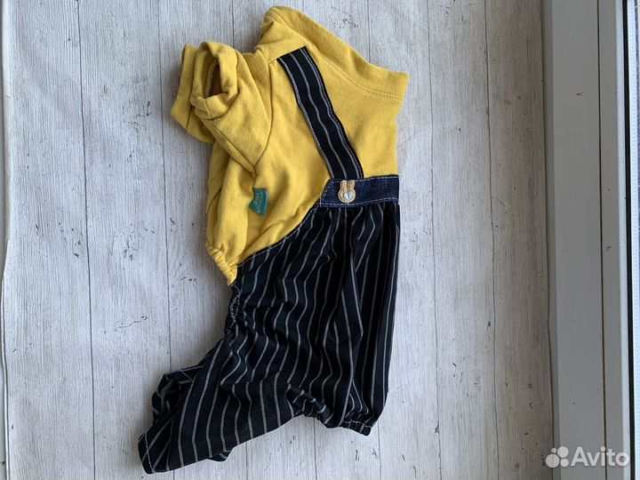 Одежда для собак