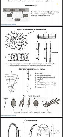 Егэ биология рохлов