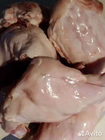 Мясо молодого кролика