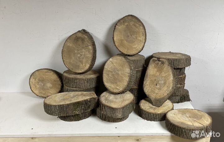 Спилы дерева