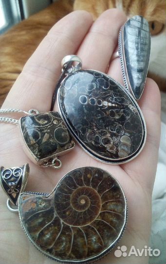 Кулон с окаменелыми раковинами Туррителла