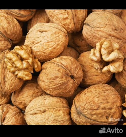 Грецкий орех