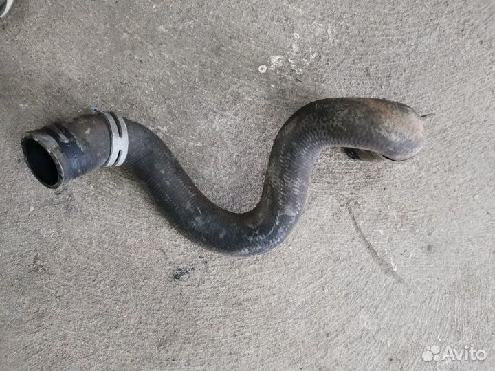 Патрубок системы охлаждения Ford Focus 2