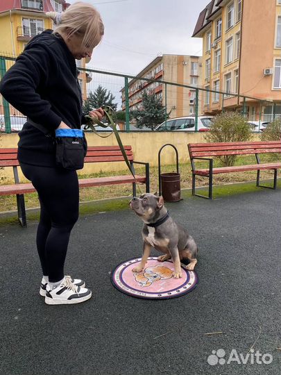 Передержка для собак Индивидуальная