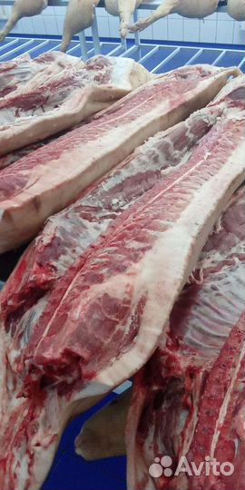 Мясо свинины оптом