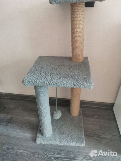 Когтеточка