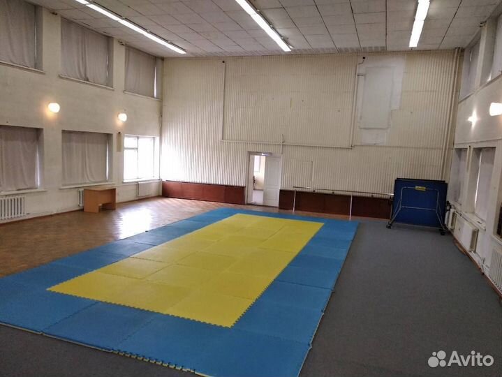 Будо маты ласточкин хвост