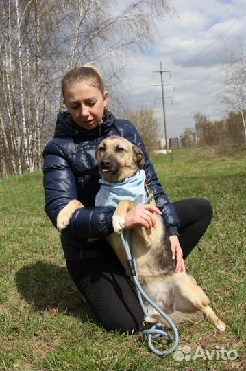 Добрая Октавия вечно мерзнет в приютеспасите